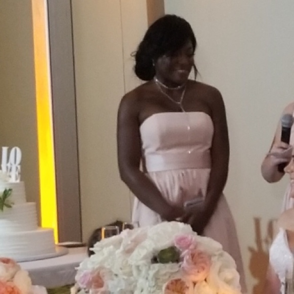 BLUSH COLORED VERA WANG bridesmaids dress.